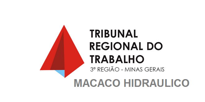 MACACO HIDRÃULICO - PROC. 0010711-41.2018.5.03.0029