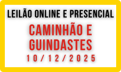 LEILÃO CAMINHÃO E GUINDASTES - DEZEMBRO - 10/12/2025